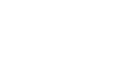 Window to the Womb